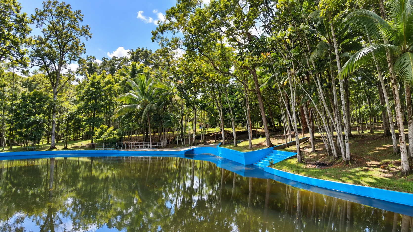 Igarapé com reflexos de palmeiras e vegetação nas margens