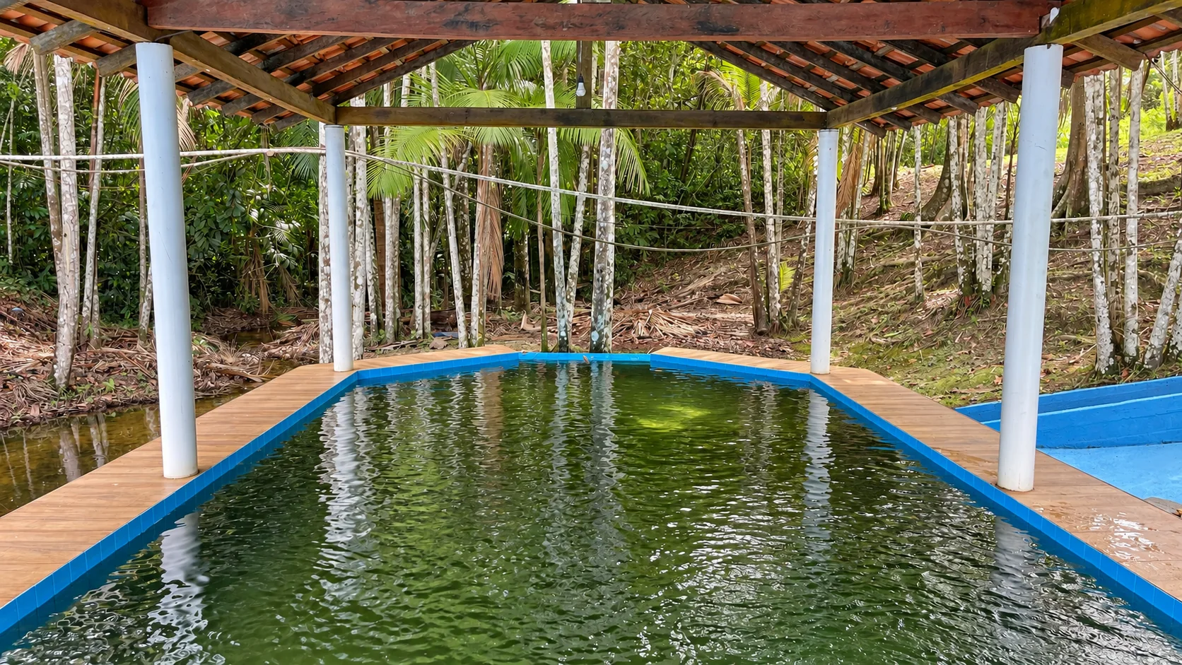Piscina com água natural sob cobertura de telhas em meio às árvores